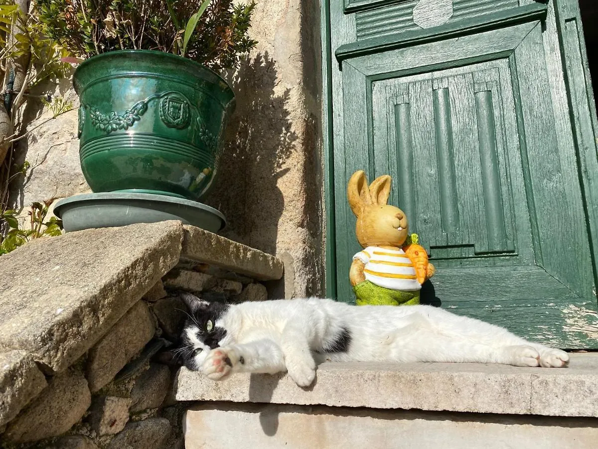 Le Clos St Georges Entraygues-sur-Truyère Gasthuis